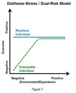 Diathesis-stress or dual-risk model