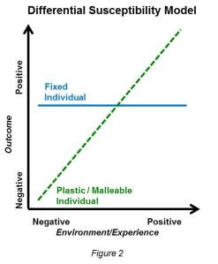 Differential susceptibility model